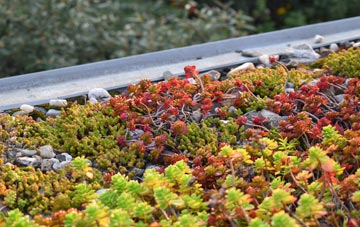 the cost of Lintmill green roof installation