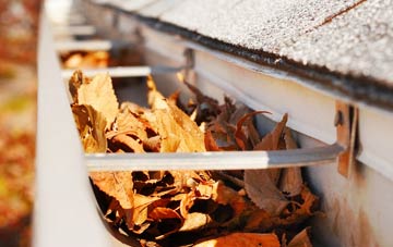 Lintmill gutter cleaning companies