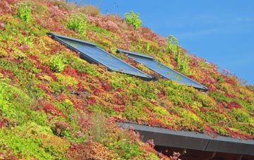 Lintmill living roof systems