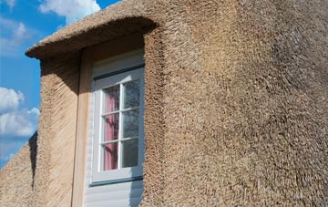 Lintmill thatch roof disadvantages